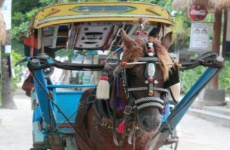 14 daagse rondreis Bali en Lombok 0