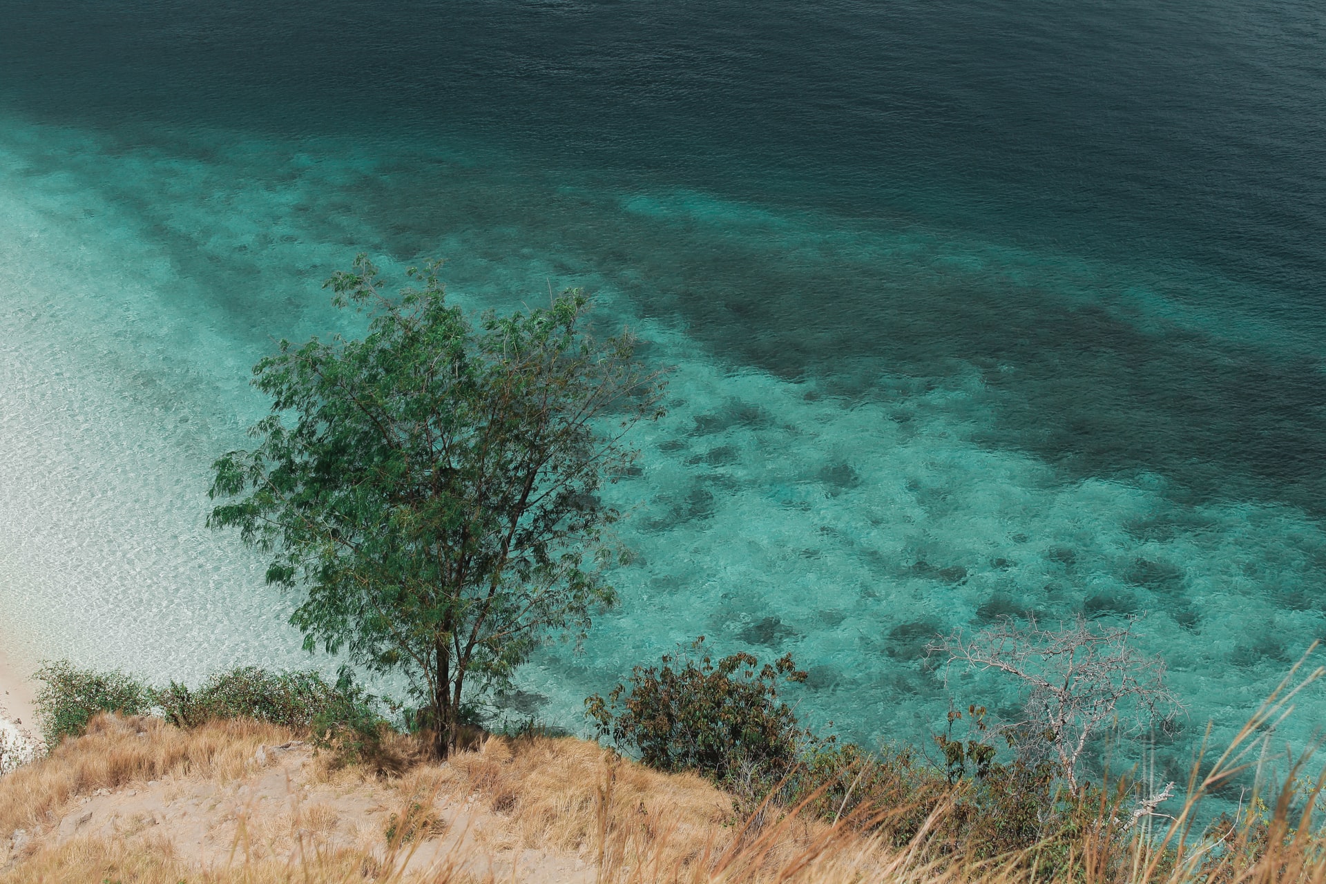 8 daagse Rondreis Flores en Komodo